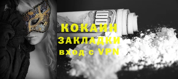 прущая мука Ельня