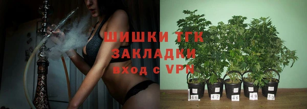 трава Елизово