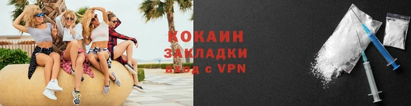 трава Елизово