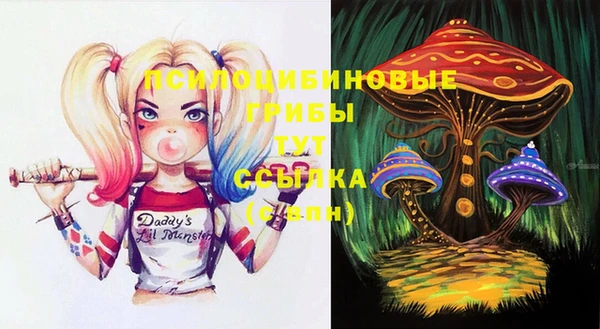 мескалин Елабуга