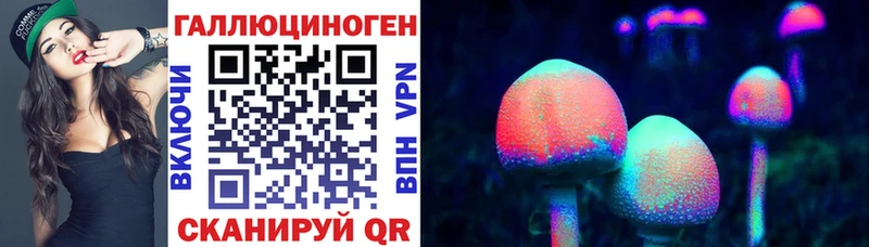 shop Telegram купить наркоту Таганрог Псилоцибиновые грибы Psilocybe